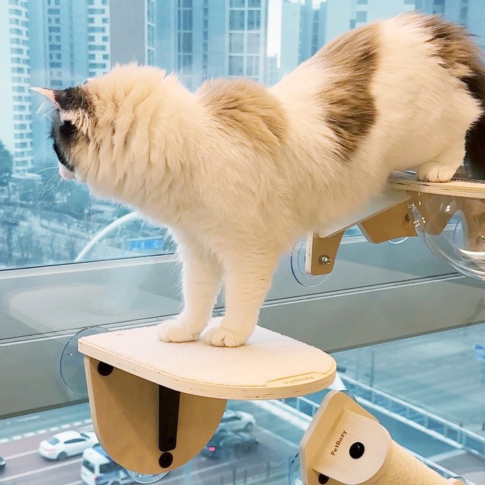 펫로지 고양이 창문해먹 원목 캣타워 펫로지 고양이 창문해먹 원목 캣타워