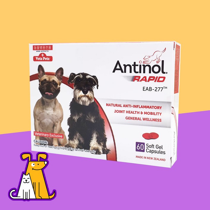 안티놀 래피드 60캡슐 강아지 고양이 관절영양제, 60캡슐