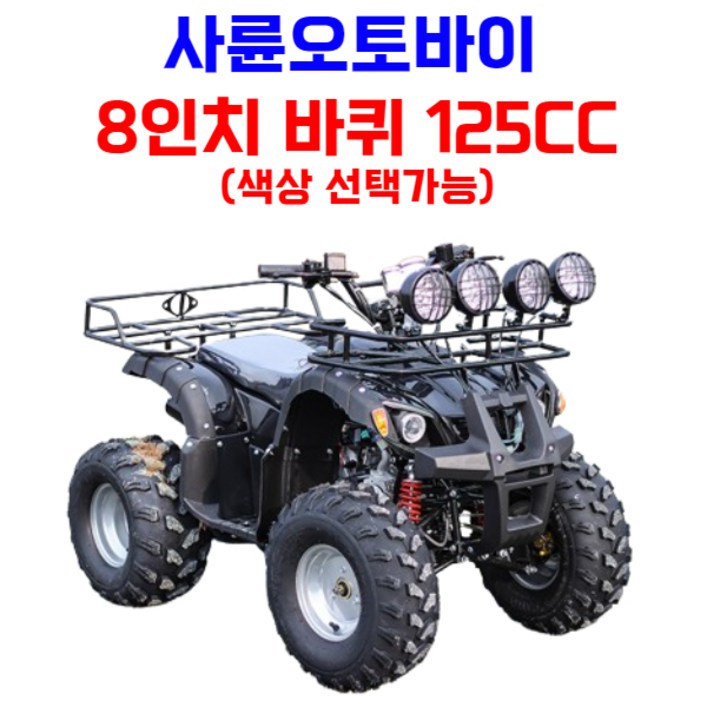 엑티쿼 사륜 오토바이 사발이 4륜 바이크 네발 산악 ATV 운반차 오프로드, 화이트, 03 8인치 125CC