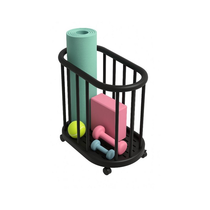 렉스퀸 이동식 운동기구 보관함, 1개, 블랙