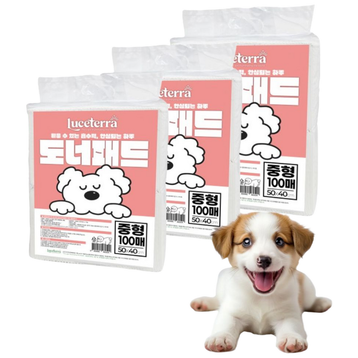 동물병원추천 신제품 루쎄테라 도너패드 강아지 가성비 실속형 배변패드 흡수력 새지않는 애견패드, 3개, 100개입