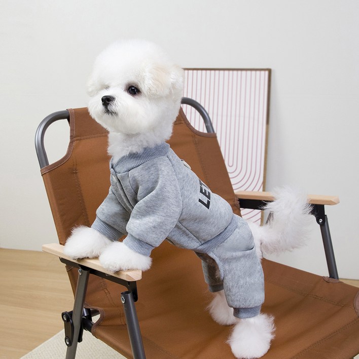 파스텔펫  반려동물 렛츠고 트레이닝 올인원