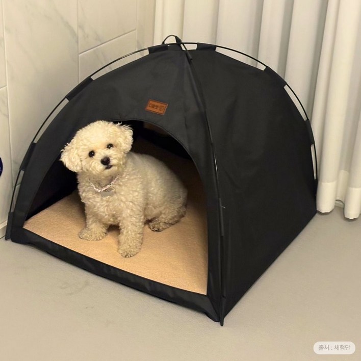 디클펫 PHO-PB01 텐트 하우스 강아지 고양이 집 사계절 숨숨집 폭신한 양면 방석 포함