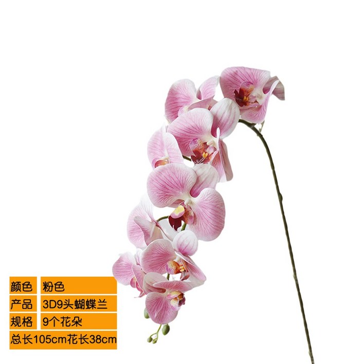 가벼운 촉감 보습 10 40g 오브 오드퍼퓸 본품 175ml 오르페옹 휴대용 27G2