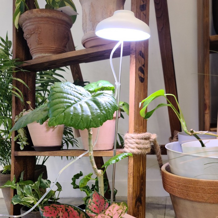 라움생 LED 우산 식물등 조명 식물 성장 실내 재배 생장 등 식물용 전구 램프, 1개