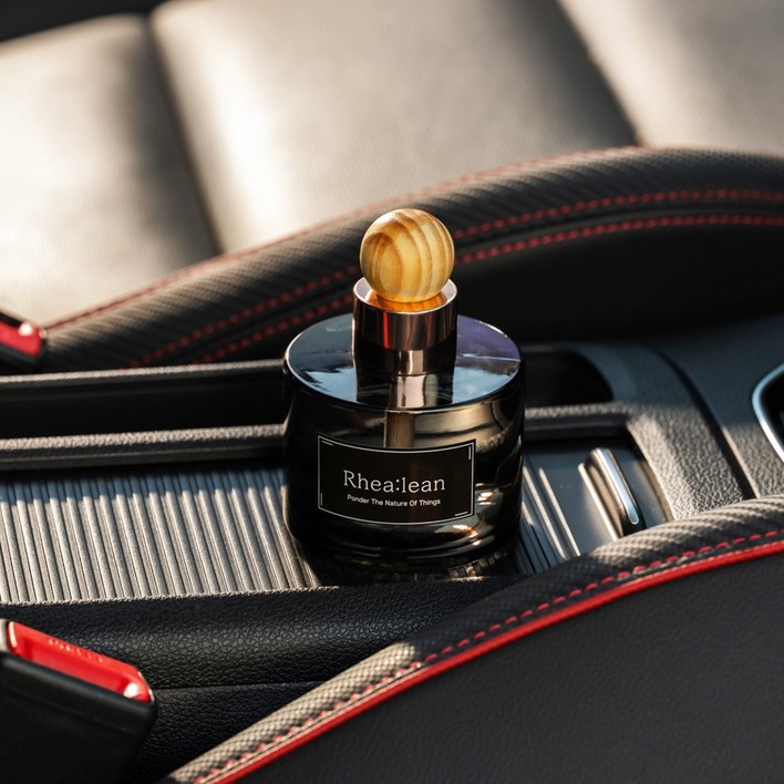 레아린 아로마오일 차량용 방향제, 데인트리 레인포레스트, 2개