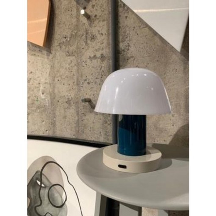 앤트레디션 세타고 버섯조명