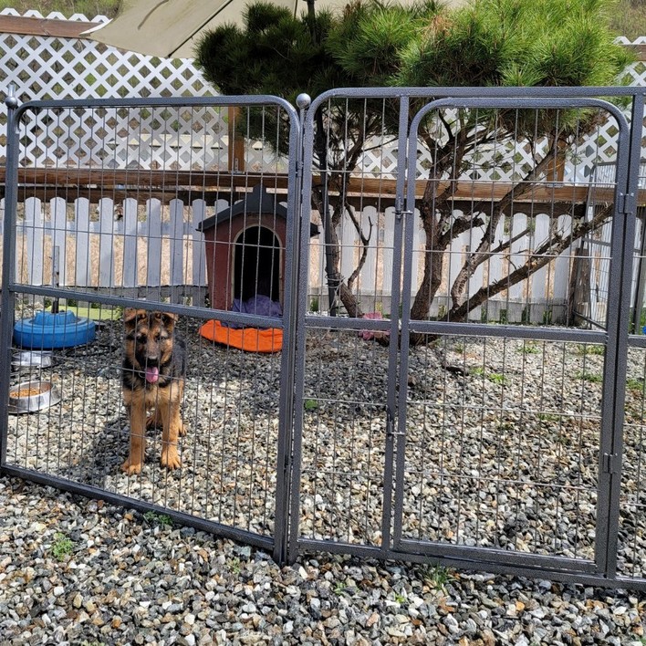 카멜 대형견 울타리 펜스 확장형 애견 강아지 견사 철장 반려견