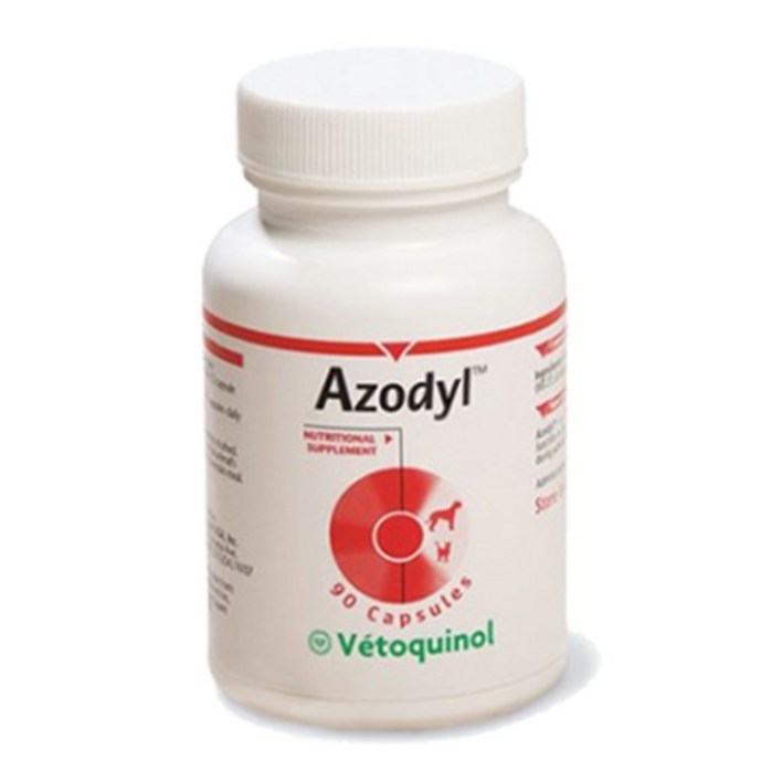 [완벽냉장+무료배송] 아조딜 영양제 90캡슐