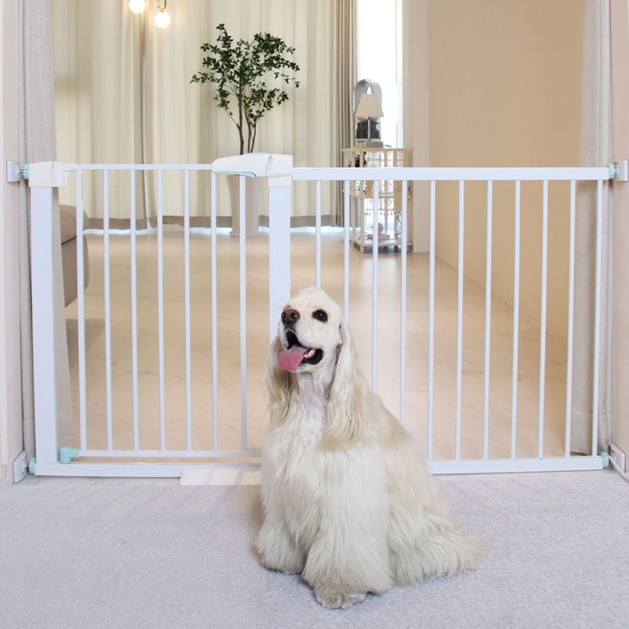 펫초이스 프리미엄 반려견 강아지 안전문, 화이트, 1개