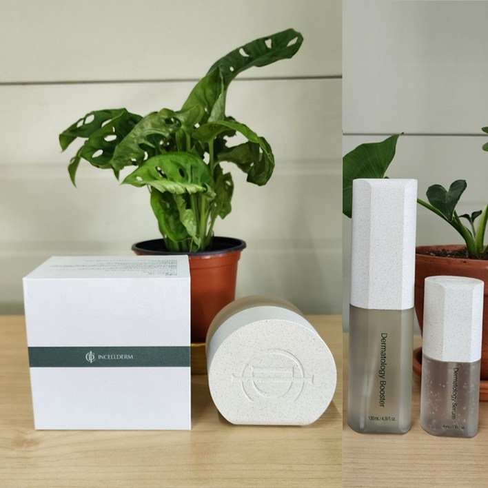 인셀덤 기초 3종 세트 더마톨로지 부스터세럼엑티브크림