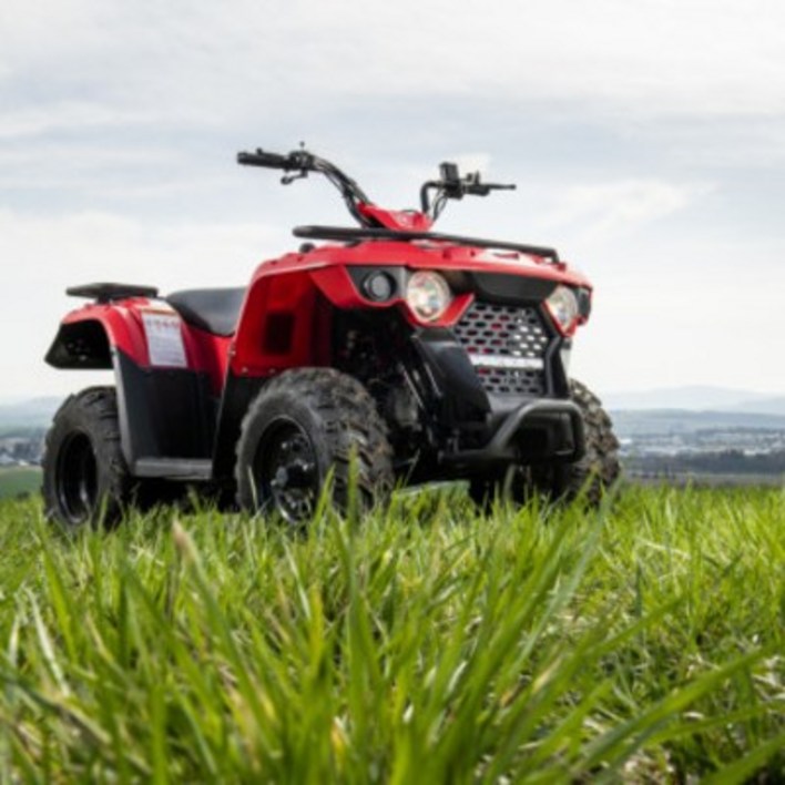 튼튼한 150cc ATV 사륜오토바이 산악바이크 농업용 레저용 사발이, 빨강색, 150cc ATV 사륜 오토바이