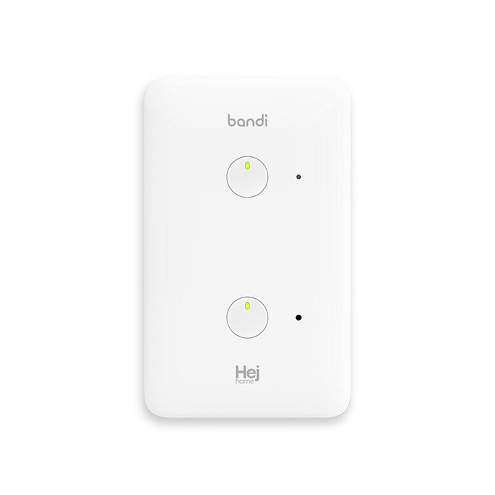 헤이홈 IoT 스마트 조명 스위치 2선식 2구