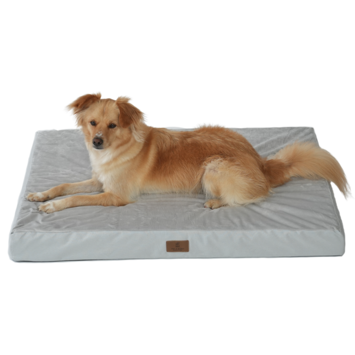 피치가든 대형견 커버분리형 꿀잠 마약 사각방석 01 L~2XL, 1개, 그레이