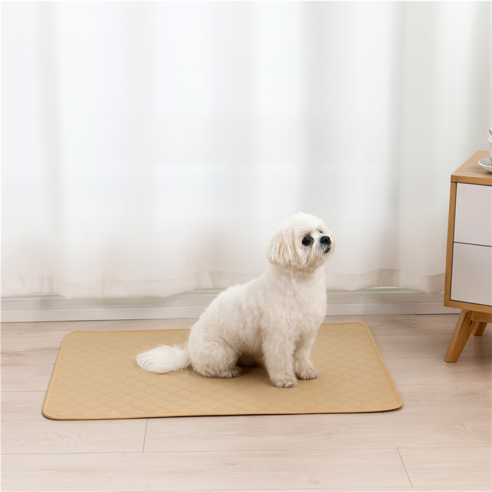 호담즈 빨아쓰는 논슬립 배변패드