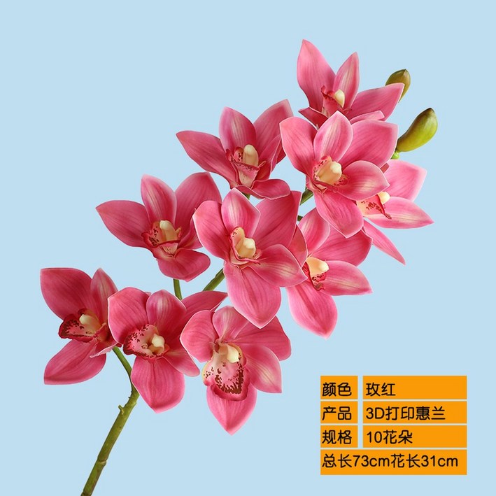 가벼운 촉감 보습 10 40g 오브 오드퍼퓸 본품 175ml 오르페옹 휴대용 27G2