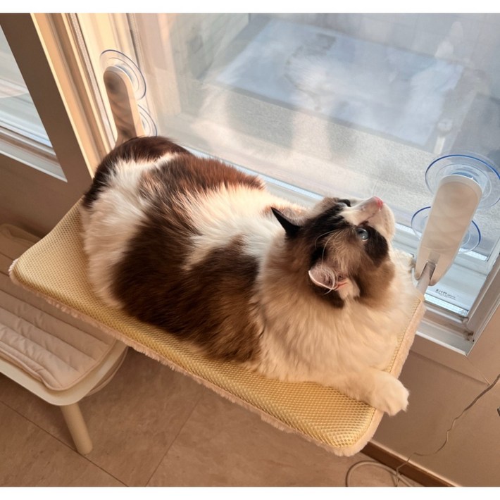 마아 고양이 사계절 양면 창문 해먹