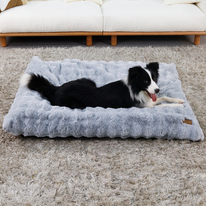 BingoPaw 강아지 쿠션 폭신 방석 하우스개모차 방석 구름촉감 사각벙석 M4XL 와플방석 커버분리 방수안감 탈부착 세탁, 그레이, 그레이GY, 1개
