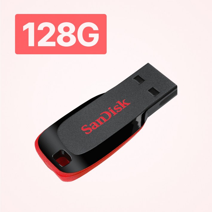 샌디스크 블레이드 USB 플래시 드라이브 SDCZ50