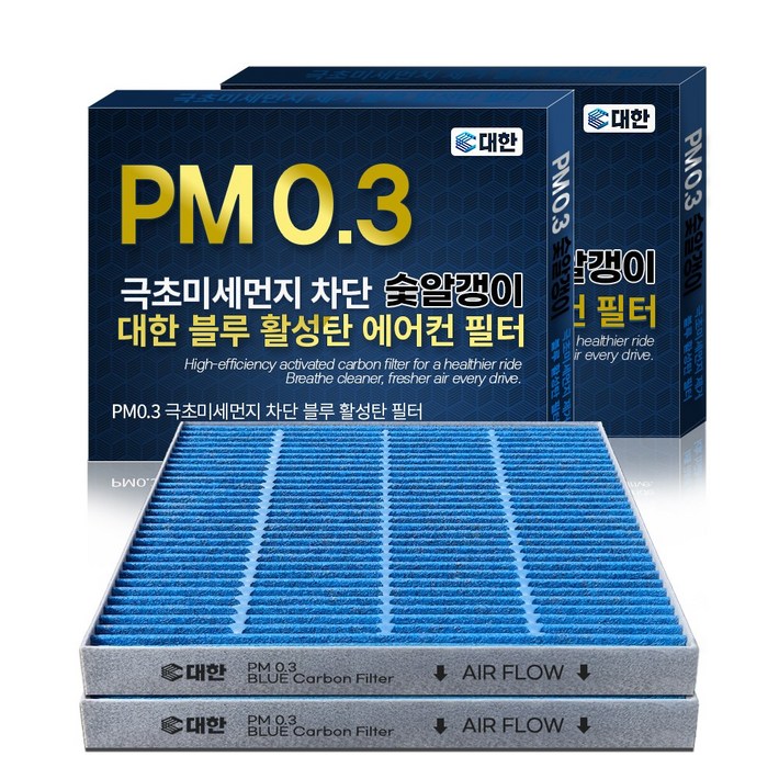 대한카필터 PM0.3 블루 활성탄 에어컨 필터, 2개, BF100