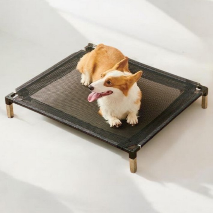 반려동물 방습 통기성 메쉬 스틸 침대, 1개, 블랙