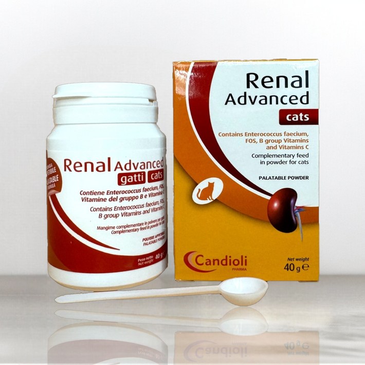 레날 어드밴스드 캣 40g 고양이 신장 신부전 식이 보조제