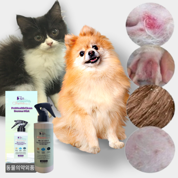 천연보습 고양이 강아지 미스트 곰팡이성피부염 피부 가려움증 피부병 발사탕 발습진 피부보습제 200ml, 200ml, 1개