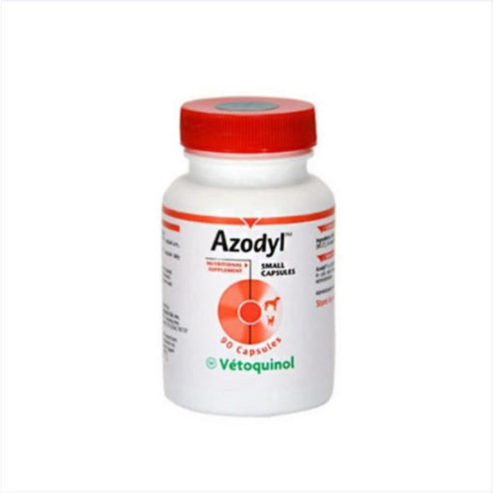 베토퀴놀 강아지 고양이 아조딜 90캡슐 아이스팩 2개 제공