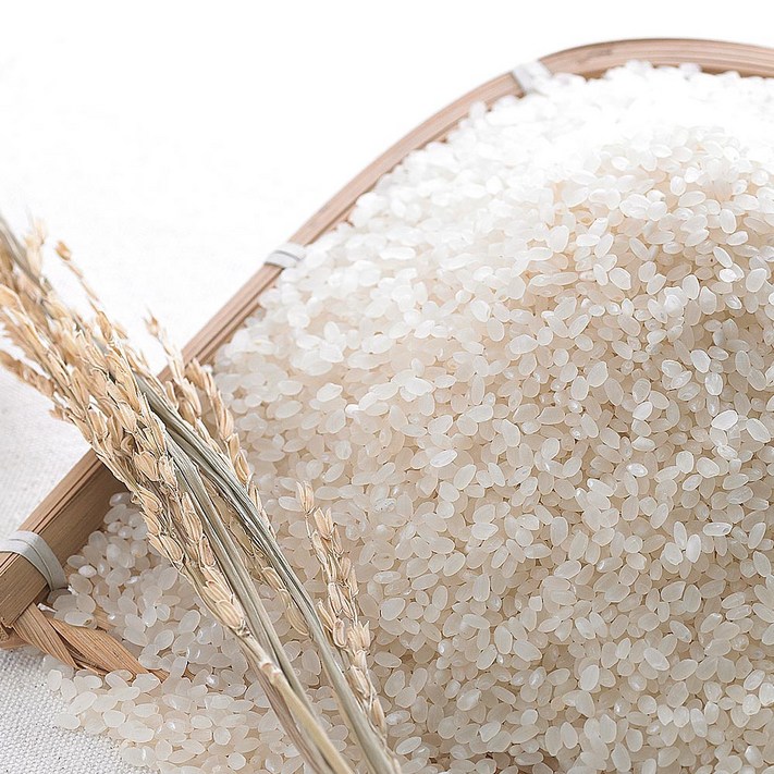 해남 한반도 땅끝쌀 구수하고 윤기나는 상등급 백미 10kg 20kg, 20kg, 1개