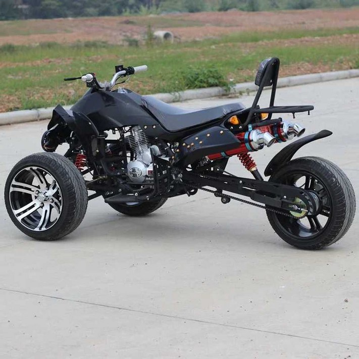 역삼륜 바이크  스쿠터 레저 농업 출퇴근용 250cc