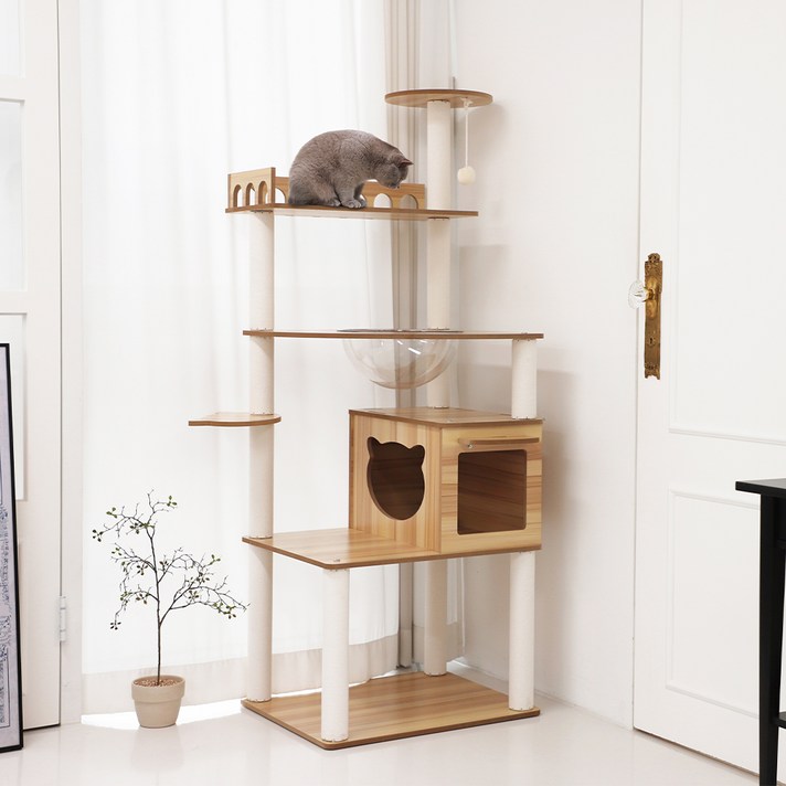 펫모닝 미유앤코 6단 먀오하우스 루프탑 캣타워