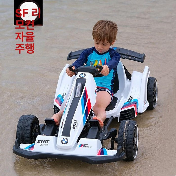 레이싱 1인용 전기차 고카트 프로 카트 전기