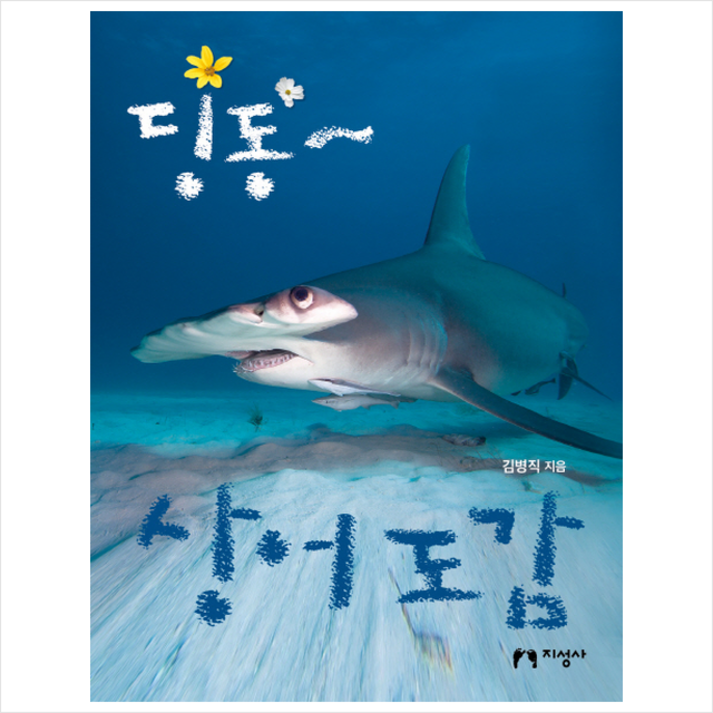 딩동 상어 도감