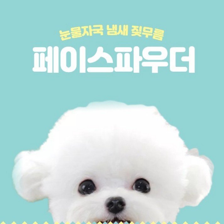 퍼피러브 강아지 눈물 파우더 눈물자국 지우개 냄새제거 눈꼽 짖무름 습진 가려움 샴푸 연고 세정제