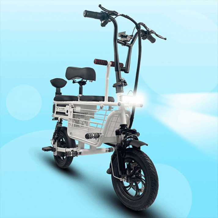 전동스쿠터 3인용 전기자전거 강아지 애견 에코드라이브 타이탄 스쿠터600