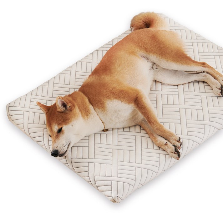 꽁떼떼 듀라론 100 국내생산 메모리폼 쿨매트 강아지 매트리스 침대 애견 쿠션 ML, 1개