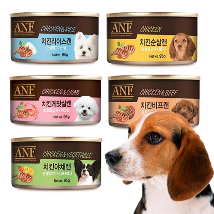 ANF 치킨 강아지캔 24개 1박스 95g 캔 - 쇼핑뉴스