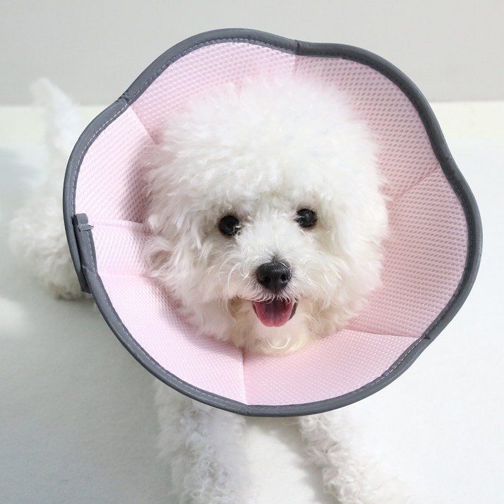 드림계곡 반려동물 강아지 고양이 통기성 메쉬 넥카라, 1개, 핑크색