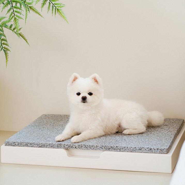 SUPERPET 반려동물 프레임 대리석 쿨매트