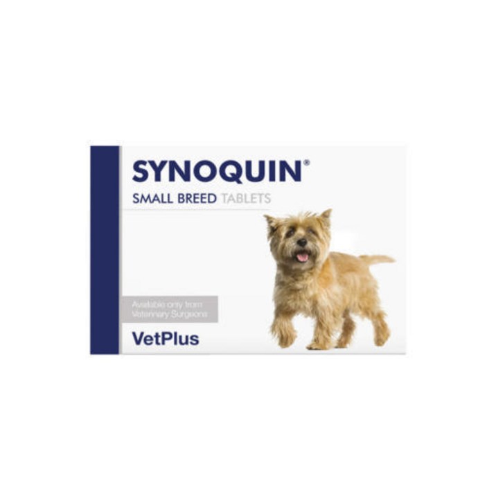 뱃플러스 사이노퀸 영양제 소형견