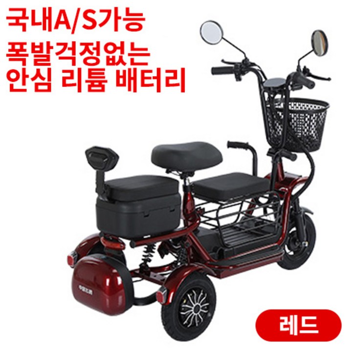 와이모터 강력한 세발전기자전거 등하원 2인용 3인용 펫바이크 애완 반려견전기자전거