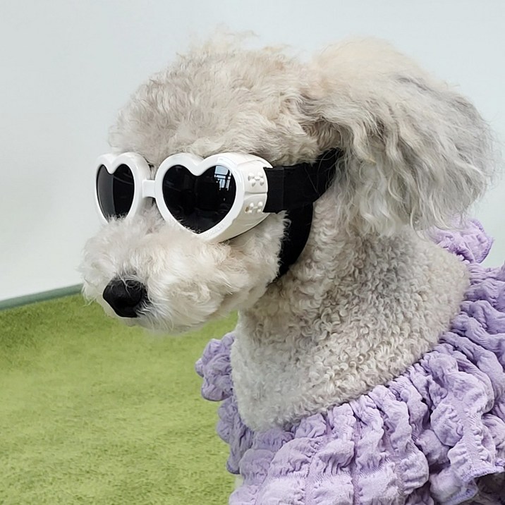 펫카 자외선 UV차단 반려견 강아지 선글라스 고글 하트, 화이트, 1개