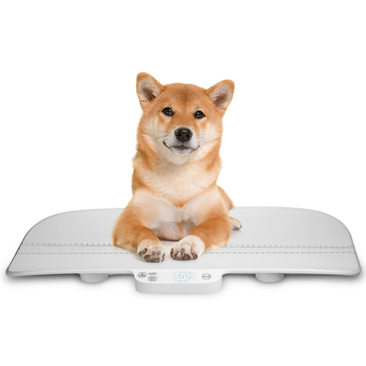 휴비딕 신생아 유아 몸무게 디지털 아기 체중계 HUS-317B