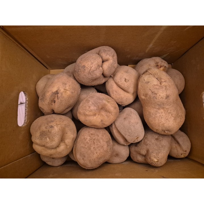 늘해랑 포슬포슬 햇 수미감자