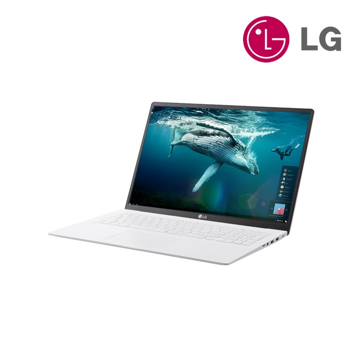 LG그램 17인치 17Z90N 10세대 i7 16G SSD256G Win10 고사양 인강용 사무용 노트북, 17Z90N, WIN10 Pro, 16GB, 256GB, 그레이