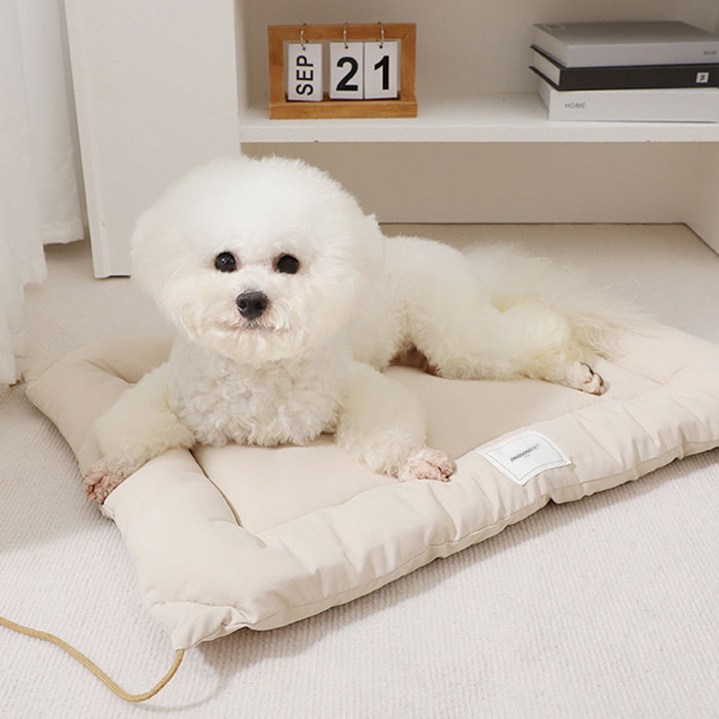 딩동펫 강아지 베이직 사각쿠션 고정끈 방석