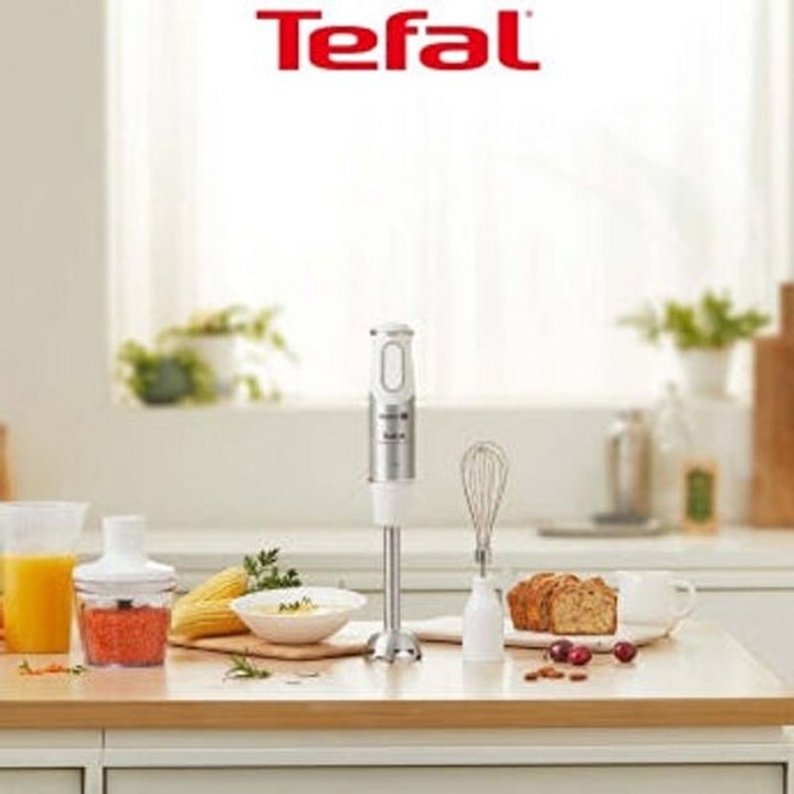 테팔 핸드블렌더 마스터블렌드 플러스 HB6531KR