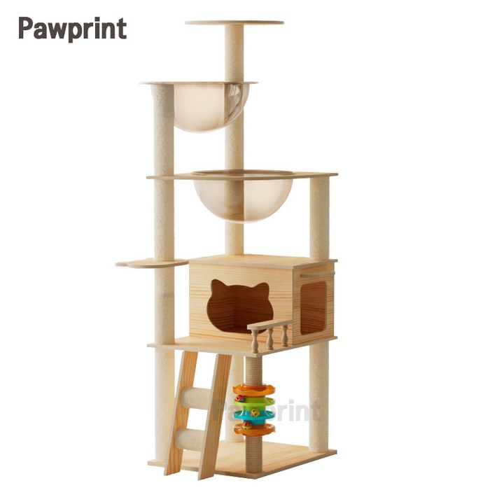 Pawprint 원목 캣타워 대형 소형 고양이 캣타워 우주선 아크릴 투명 캣하우스 다기능 고양이 놀이 공간 다묘가정 초보집사 먼치킨 성인묘 거실 원룸 실내용 다양한 고양이 활동에