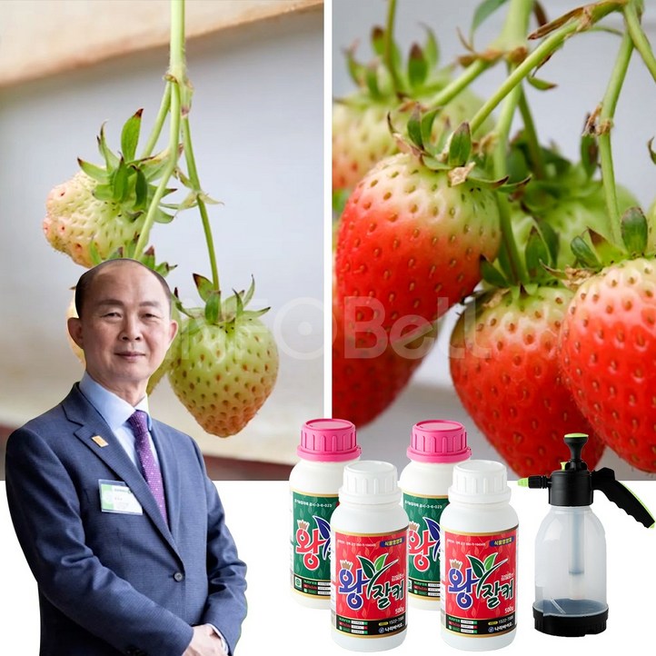 인포벨 김일호 왕잘커 식물 영양제 병해충 방제 작물 성장 텃밭 화분 화초 병충해 뿌리 스프레이, 4개, 500ml 인포벨 김일호 왕잘커 식물 영양제 병해충 방제 작물 성장 텃밭 화분 화초 병충해 뿌리 스프레이, 4개, 500ml