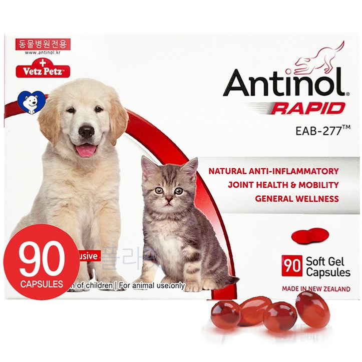 안티놀 래피드 90캡슐 강아지 고양이 관절영양제 6371004883